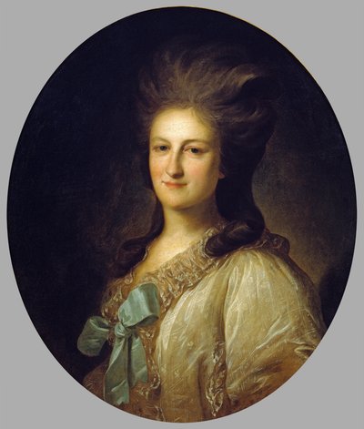 Portrait of V.E. Novosiltsova by Fedor Stepanovich Rokotov